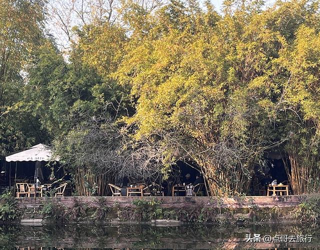 成都被私藏的彩林公园，流金溢彩，充满老城烟火气，地铁公交直达