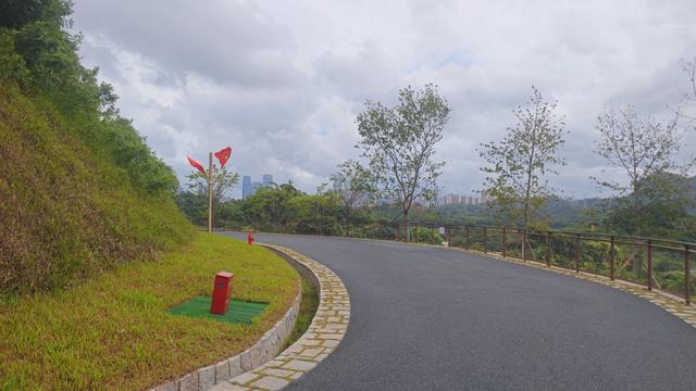 西丽湖国际科教城绿道高清随拍