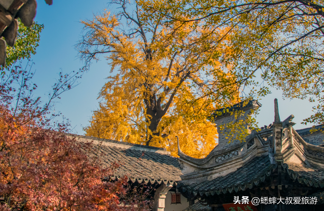 江浙沪被误会的“宝藏古镇”，本以为门票高昂，其实免费也能玩！