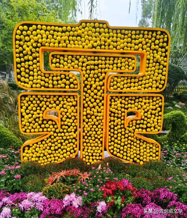 趵突菊韵 锦绣泉城