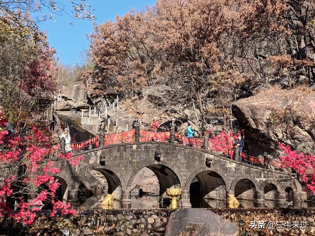 无为在歧路，2025之经行