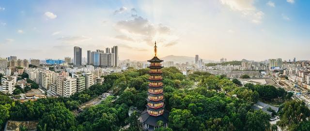 龙峰塔下，聆听龙华三十余载步履与回响