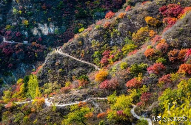 来保定，湖光山色+古镇烟火全都有！