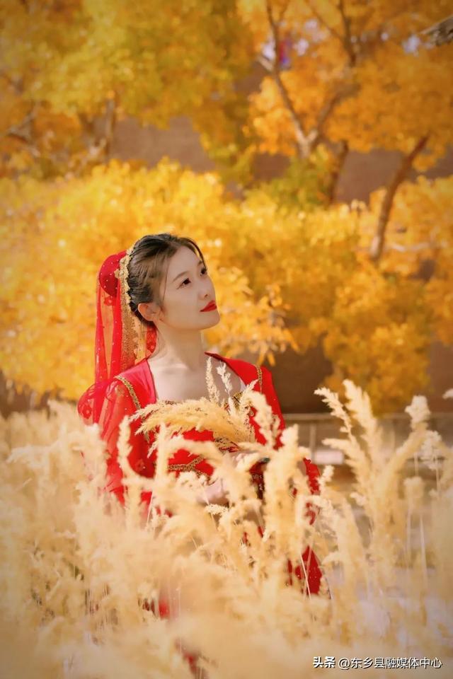 胡杨：边塞秋景里的绚烂