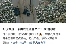 《我的阿勒泰》取景地被蚊虫侵扰，游客吐槽“咬得人浑身难受”！当地最新回应图片