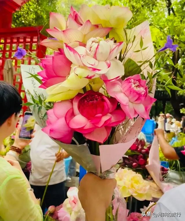 姑苏城荷花早市，买一把荷花