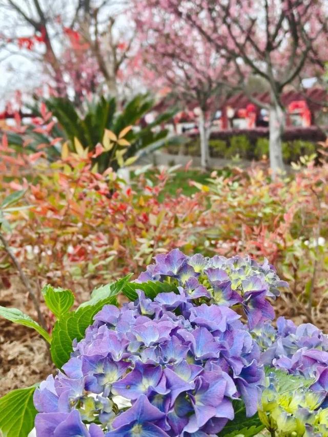 博望区横山景区变了！这波改造太暖心