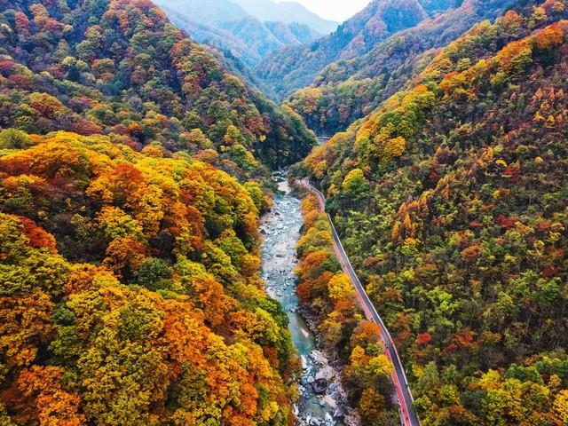 沿这5条高铁路线旅游红叶美极了，沿途解锁国内绝美秋色