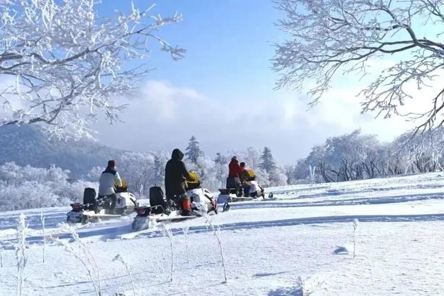 雪假来了！敦化已变身童话王国，就等你来
