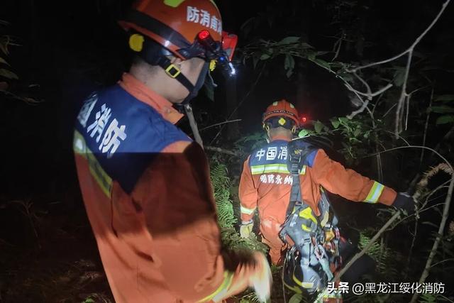 结伴登山被“刺客”追着咬！一成年男子倒地昏迷