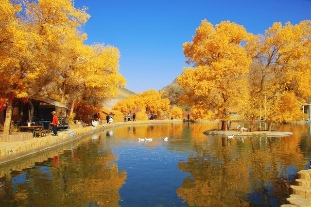 酒泉多坝沟胡杨峡，山势奇特，景色如画，隐藏着大西北的极致秋色