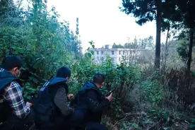 他卧底贩毒集团两个月，只给自己一支烟的打盹时间图片