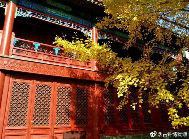 博物馆秋之旅丨博物馆限定！这些古建里的绝美秋色不可错过——