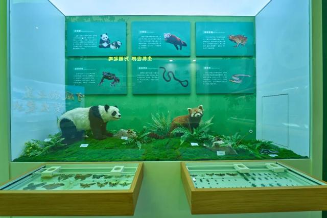 走，到屏山老君山赏秋去→