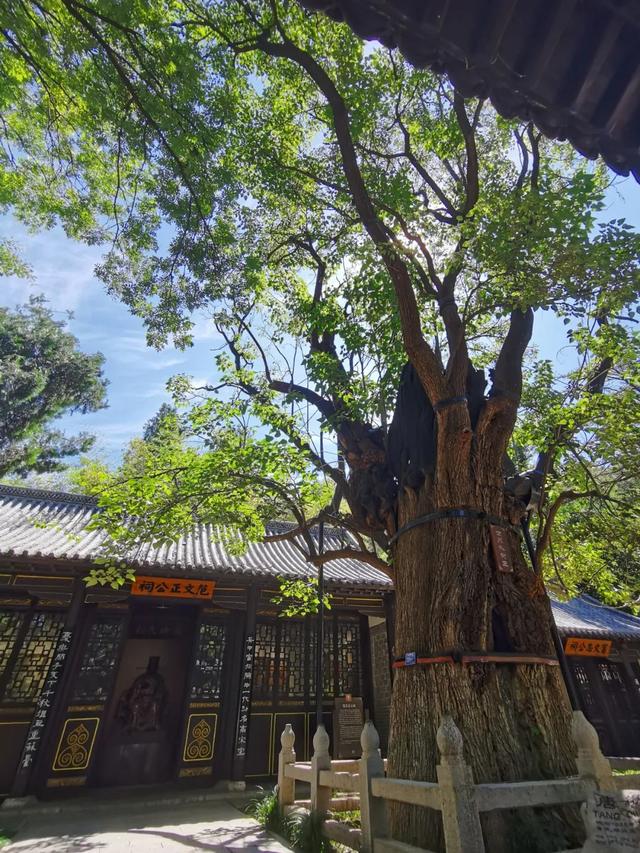 山东有座2000年前的名城，寻访李清照范仲淹们在青州古城的足迹