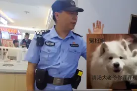 茶兀《好喝到报警》，俩小孩因一瓶饮料找警察评理，笑死评论区了图片