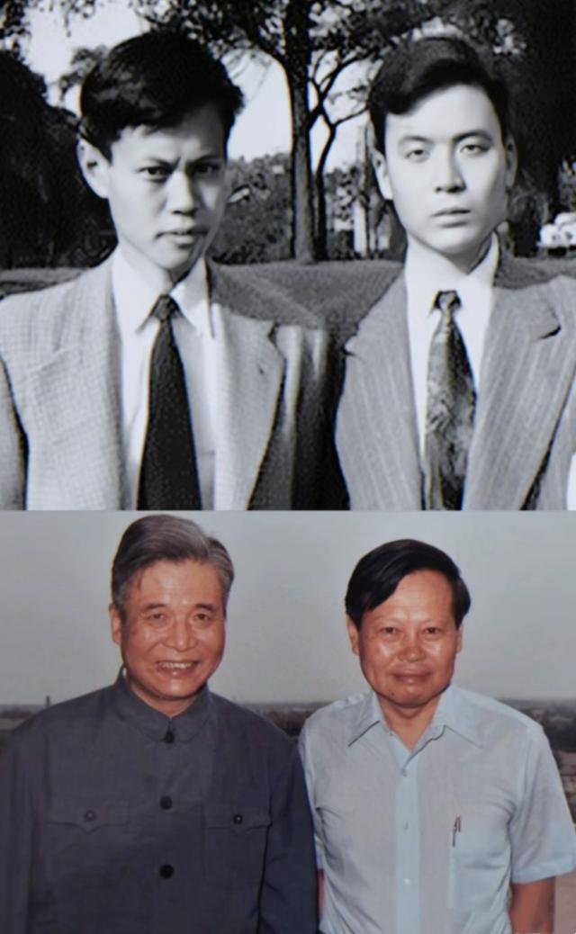 杨振宁葬礼结束，盖国旗完成夙愿不到24小时，恶心一幕就出现了！