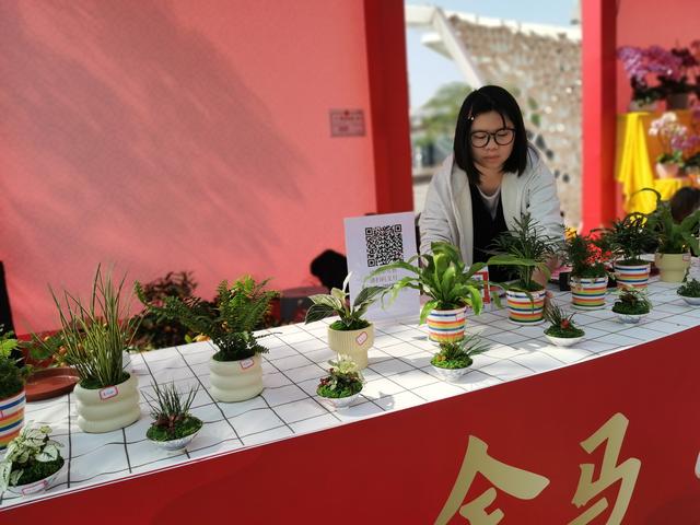 外地游客感受顺德浓浓年味