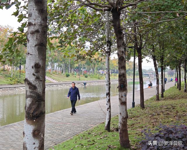 云梦生态浮岛的三重奏