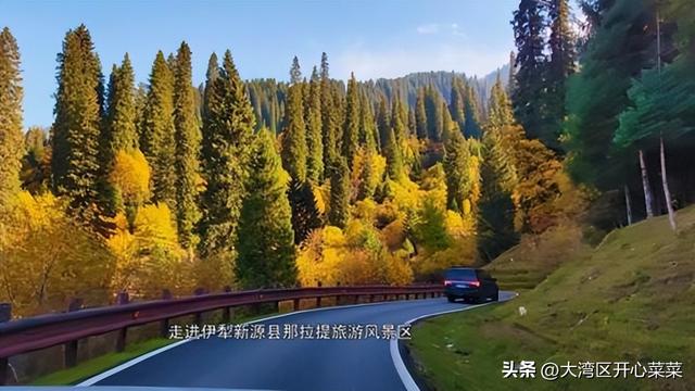 伊犁秋色漫游指南来啦！三条主题线路，开启你的如画旅程