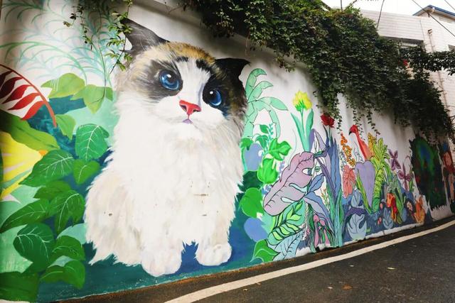 半城烟火半城景！爽爽贵阳新十景 云岩来上分