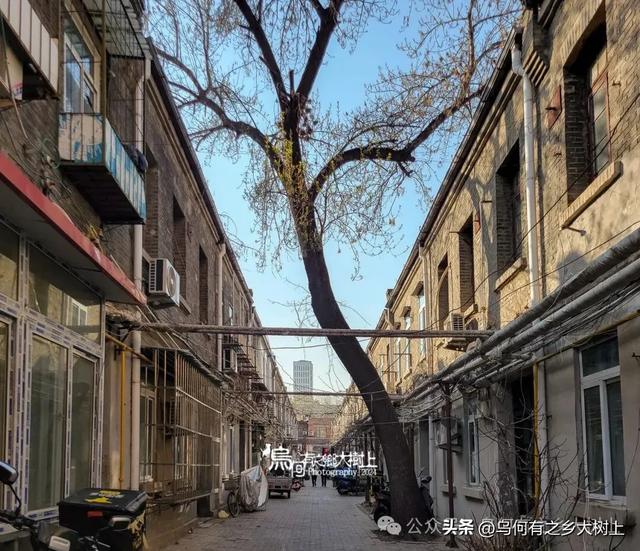 天津福缘里:原日租界内一处有味道的民国里巷,由清末遗老建成