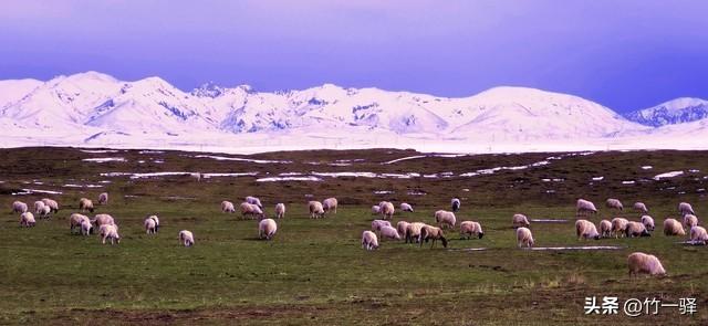 青海布哈河湿地：青海湖的母亲河