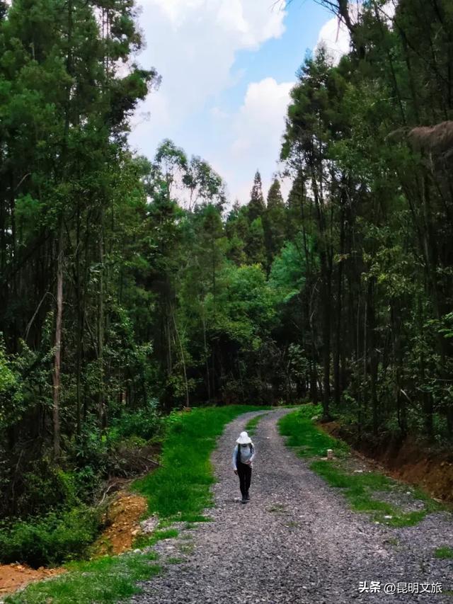 来一场短暂的城市逃离!盘龙这些登高好去处你知道吗?