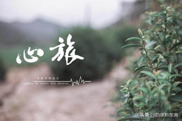 探秘贵州福泉：穿越古今的奇妙之旅