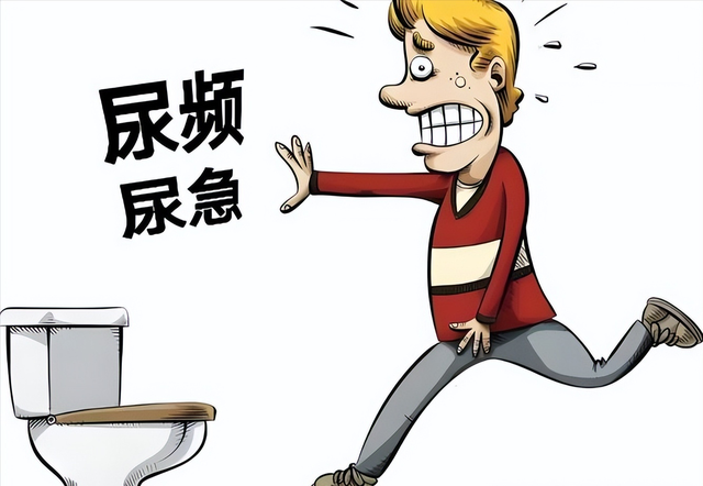 小小三金片，作用不简单，改善湿热体质，治疗前列腺炎，详细讲解