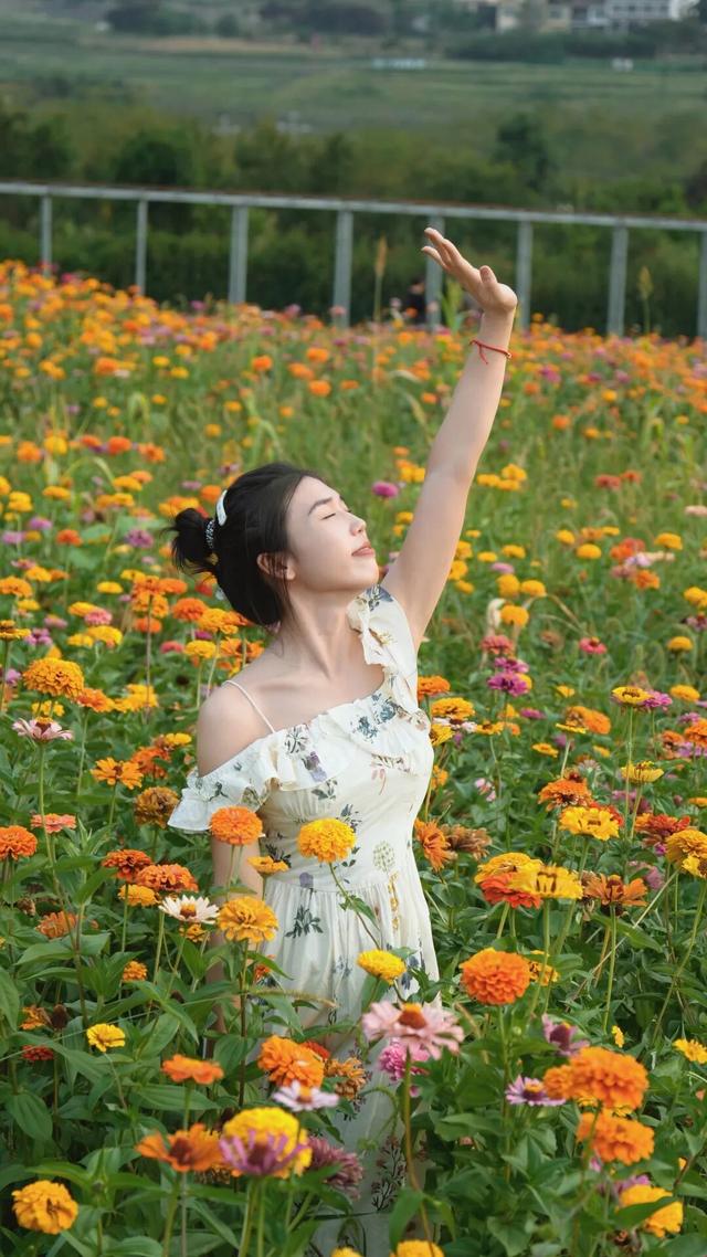 包出片！仁怀秋日花海惊艳上线🤩