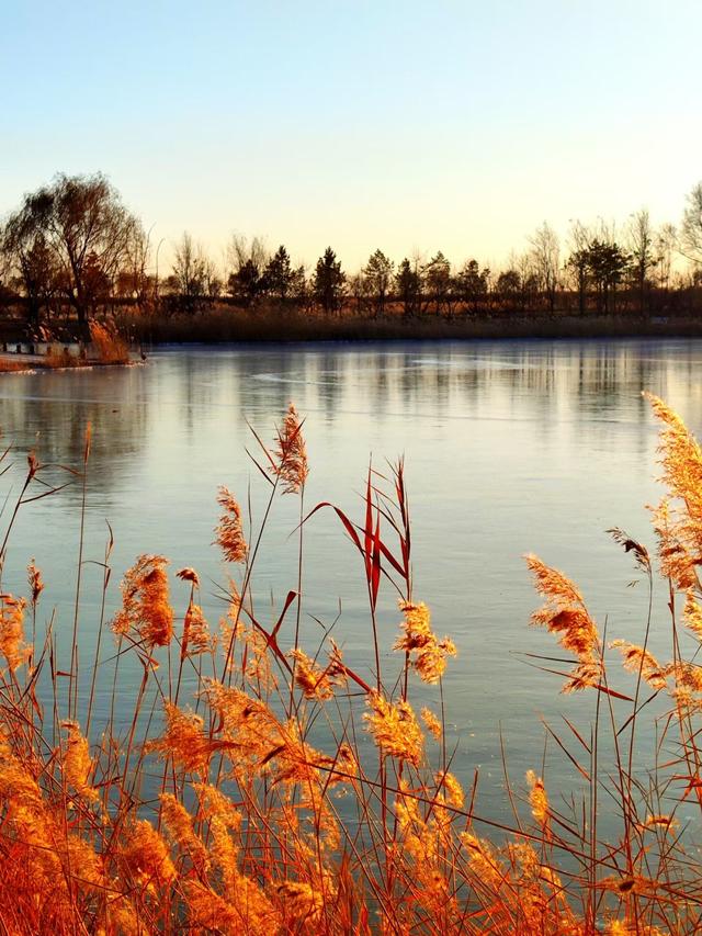 当挖掘莫言文化旅游资源还火热的时候，这家媒体泼的冷水格外珍贵