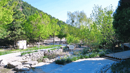 别白跑！舞彩浅山11月24日起闭园