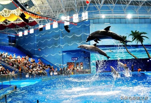 贵州极地海洋世界国庆期间日均迎客超5000人