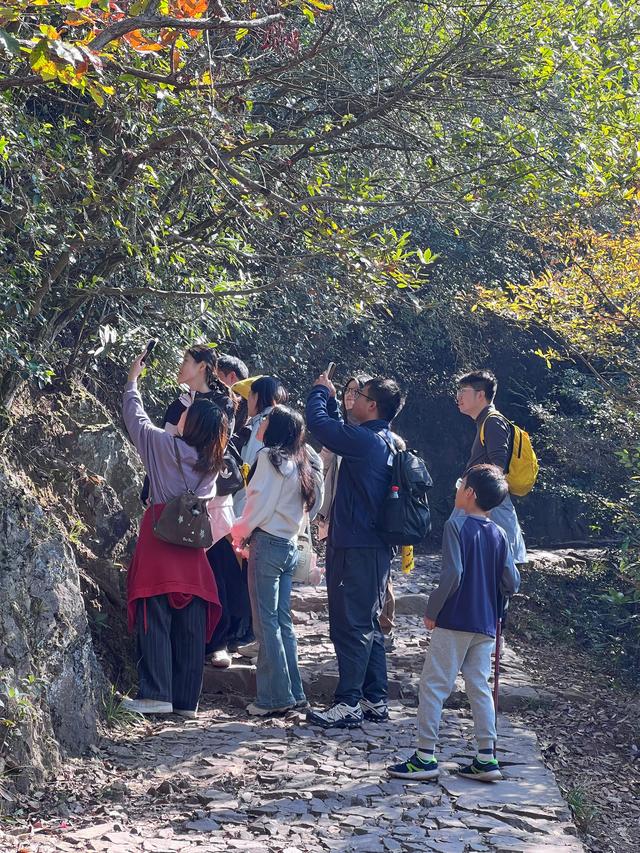 上天竺到云栖竹径，徒步9公里，感受一路秋意。