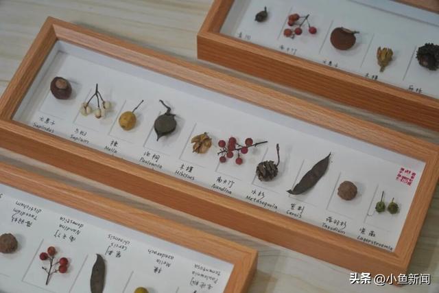 快来捡！苏州秋日“限量款”