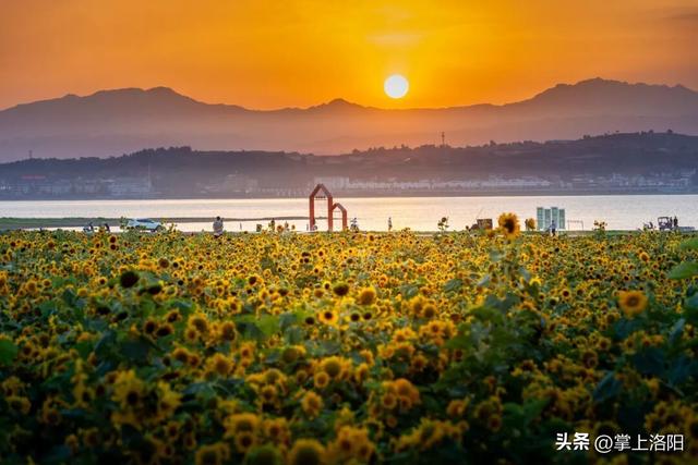 拍黄河流域洛阳段美景，85000元现金奖励等您来拿！