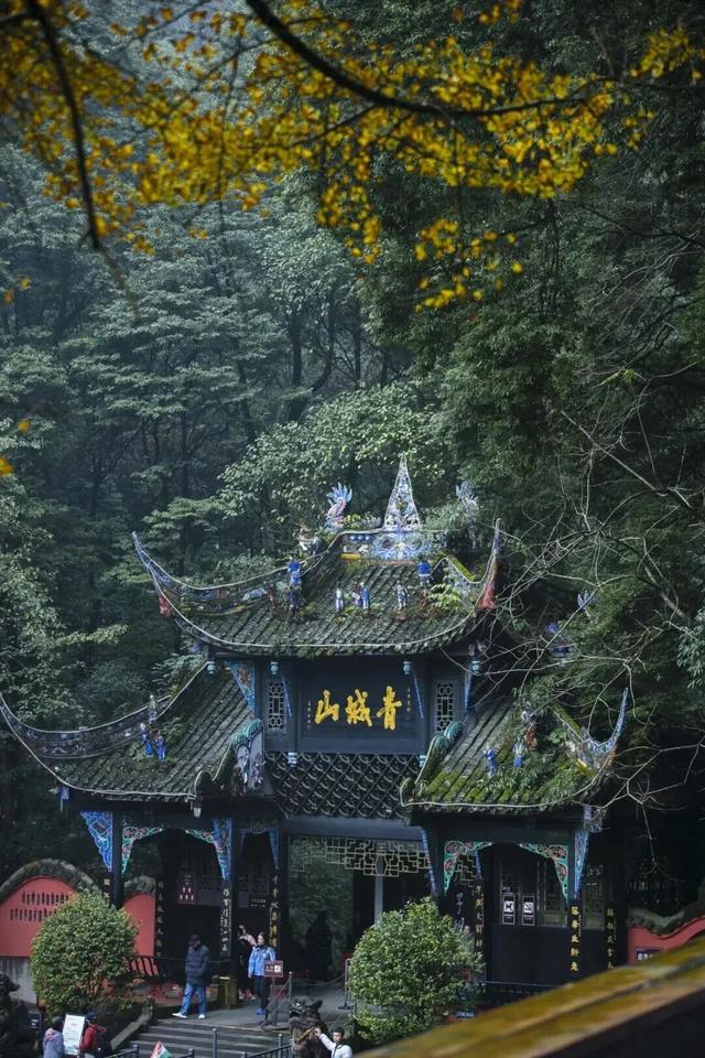 美疯！我就说初冬的都江堰有真东西！