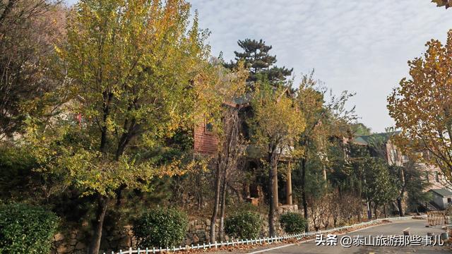 泰安：城东有一个村落，藏着东部首家高端旅游度假区，养心安心
