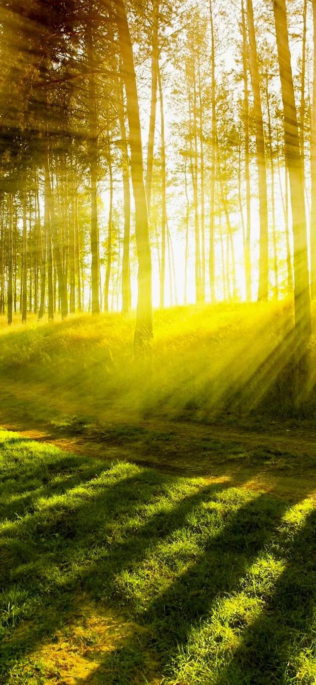 缁胯壊鎶ょ溂澹佺焊缇庡浘