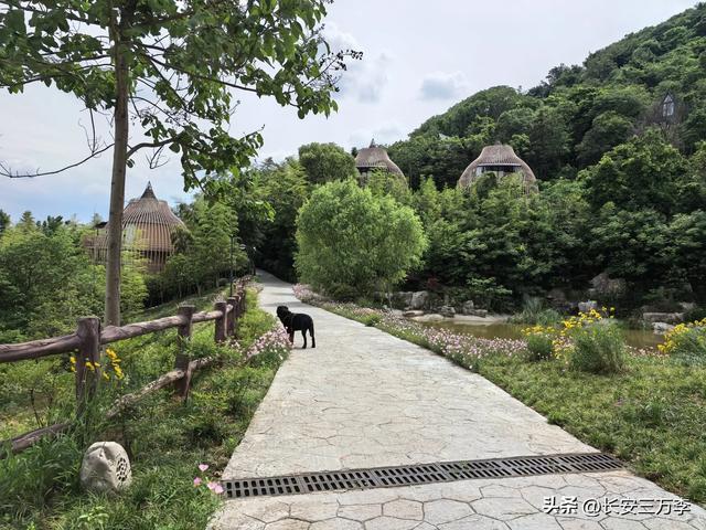 一趟宜兴揽云谷,惊见国道也收费