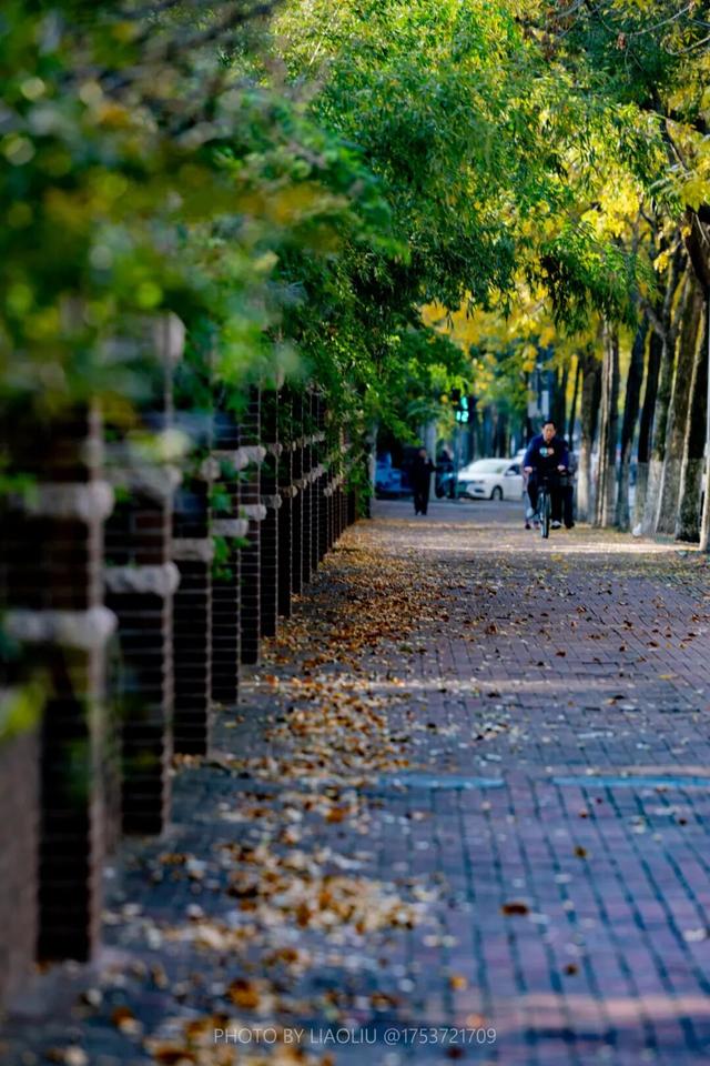 “焦糖色秘境”上线！超级出片！日照这里错过再等一年！