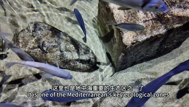 先睹为快 | 马耳他的减碳之道