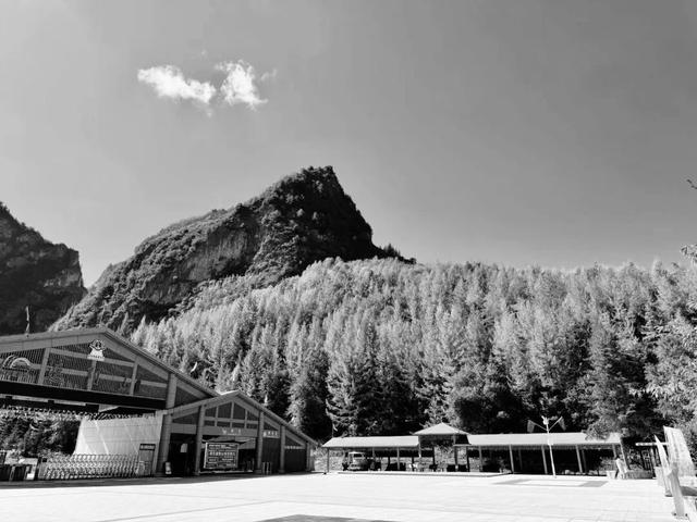 去捕捉秋的痕迹，一键点亮贵清山遮阳山景区的秋天！