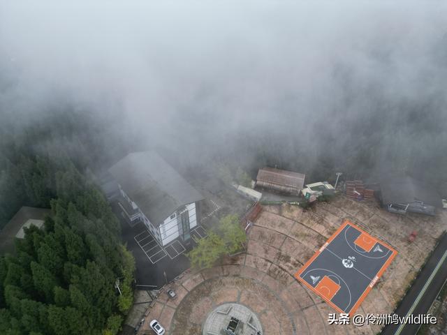 四川行(73)什邡红枫岭徒步到钟鼎寺