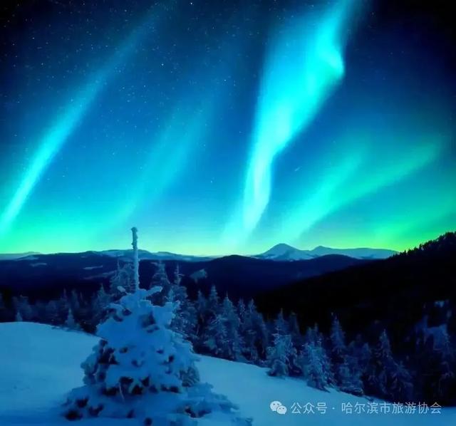 哈尔滨市旅游协会发布2025-2026年冰雪季旅游线路诚信价