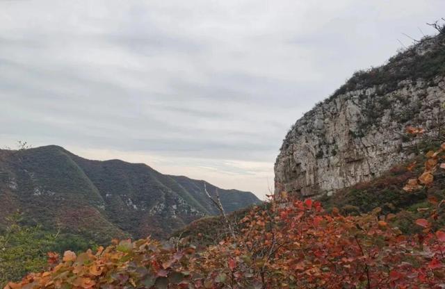 河南焦作现五彩步道，1300米钢架防腐木	，免费开放游客暴增