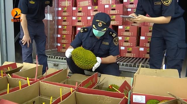 失去中国市场后，大量水果烂地里卖不出去，现在开始后悔得罪中国