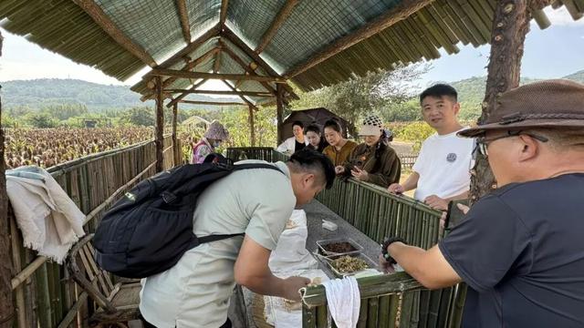 高粱红了！栗子熟了！在日照这里，玩出秋天的仪式感……