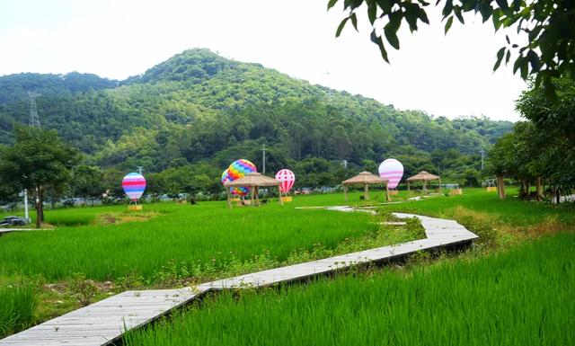 漫游惠州218最美旅游公路丨溪水里喝咖啡，开启秋日治愈之旅